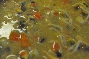 Karrysuppe med kylling, nudler og kokosmælk