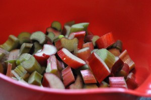 DSC_1924 Rabarberkage med marengslåg og mandler