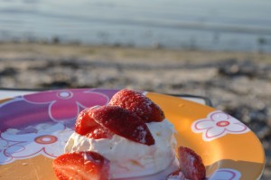 DSC_2377 Marengsdessert med jordbær og fløde