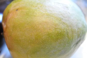 Mangosalat med avocado & chili – mango salat