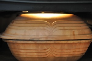 DSC_3095 Benløse fugle i ovn - opskrift til stegeso