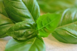 Kold kartoffelsalat med olie eddike dressing