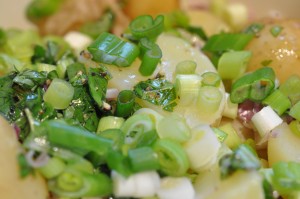 Frisk grøn kartoffelsalat med krydderurter, rødløg og olie/eddikedressing