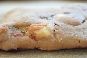 Biscotti med tranebær og marcipan - cantuccini