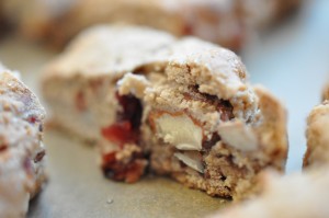 Biscotti med tranebær og marcipan - cantuccini