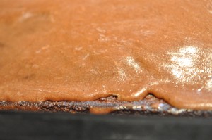 DSC_3730 Kanelkage - opskrift på nem kage med kanel