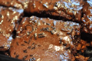 DSC_3743 Kanelkage - opskrift på nem kage med kanel