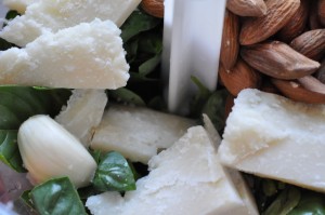 Pesto med mandler & basilikum - basilikumpesto