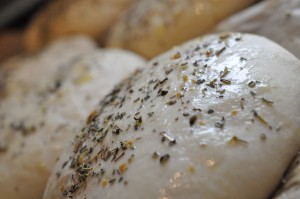 Baconbrød, foccaciaboller, franskbrød. Af samme grunddej