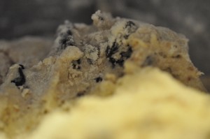 Scones med chokolade, yoghurt og tranebær
