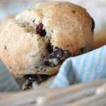 Scones med chokolade, tranebær og