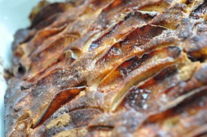 Baconbrød, foccaciaboller, franskbrød. Af samme grunddej