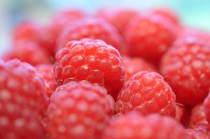 Mazarinkage med marcipan nødder & karamel