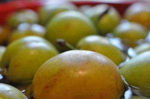 DSC_5772 • nogetiovnen.dk Blommemarmelade