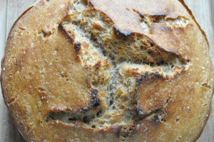 Verdens bedste brød - velkommen til junior!