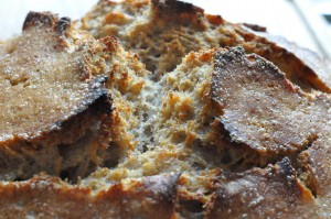 Verdens bedste brød - velkommen til junior!