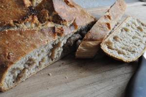 Verdens bedste brød - velkommen til junior!