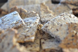 DSC_6780 Knækbrød - nem opskrift med frø og kerner