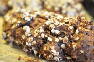 Mini rugbrød med abrikos, rosin, mandler og havreflager