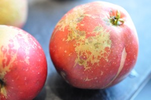 Brunsviger med æble - sund fedtfattig opskrift