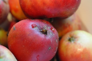 Æblesmør - nem opskrift på æblemarmelade