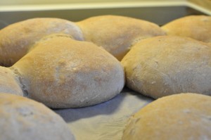 DSC_8531 Grunddej til pizzasnegle, franskbrød og boller