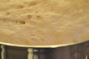 DSC_8537 Grunddej til pizzasnegle, franskbrød og boller