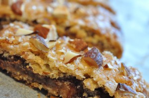 DSC_8767 Nutella småkager – opskrift på lækre biscotti