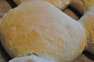 DSC_8813 • nogetiovnen.dk