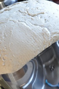 DSC_9070 • nogetiovnen.dk Grissini, boller og de flotteste brød af samme grunddej