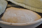 Brød og boller med havregryn og majsmel