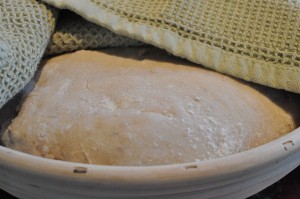 DSC_9072 • nogetiovnen.dk Grissini, boller og de flotteste brød af samme grunddej