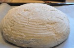 Grissini, boller og de flotteste brød af samme grunddej