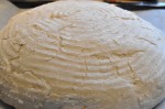 Grissini, boller og de flotteste brød af samme grunddej