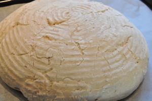 DSC_9081 • nogetiovnen.dk Grissini, boller og de flotteste brød af samme grunddej