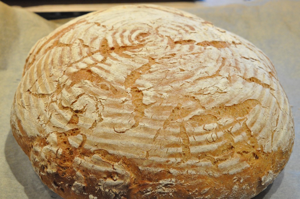 Grissini, boller og de flotteste brød af samme grunddej