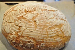 DSC_9115 • nogetiovnen.dk Grissini, boller og de flotteste brød af samme grunddej