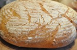 Grissini, boller og de flotteste brød af samme grunddej