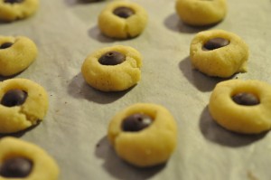 DSC_0123 • nogetiovnen.dk Småkager med vanilje og chokolade opskrift