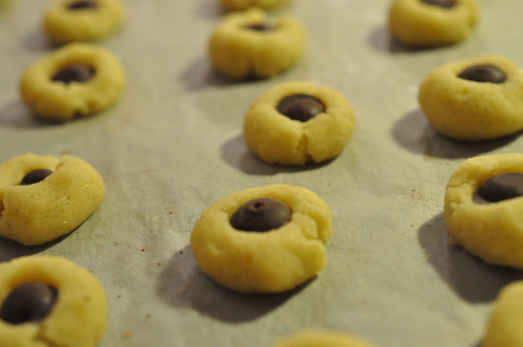 DSC_0124 • nogetiovnen.dk Småkager med vanilje og chokolade opskrift