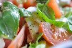 Tomatsalat med mozzarella og olie eddike dressing