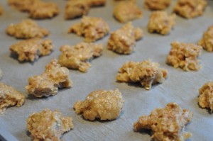 Sprøde karamel Cookies med yankiebar