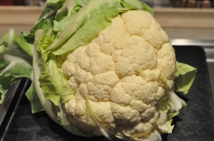 Blomkålsgratin - sund nem fedtfattig gratin opskrift