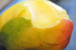 Koteletter i karry med mango & kokosmælk