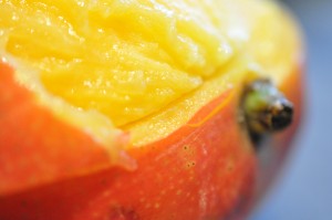 Koteletter i karry med mango & kokosmælk