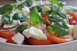 Tomatsalat med mozzarella, basilikum & rødløg