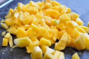 DSC_3033 • nogetiovnen.dk Mango i tern