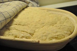 DSC_3117 • nogetiovnen.dk Hvidløgsflutes og franskbrød - nem opskrift