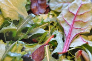 Salat med vindruer, mozzarella og appelsin - opskrift