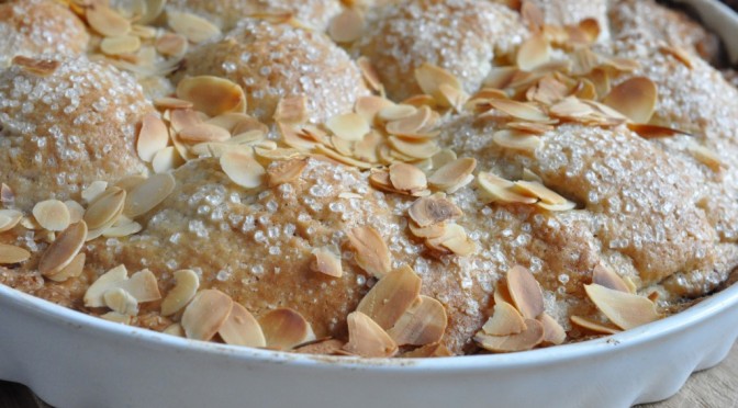 DSC_4071-672x372-1 • nogetiovnen.dk